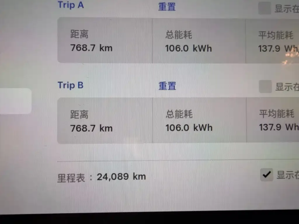 Tesla Model Y 2021 из CN, фото 3