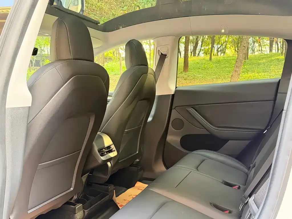 Tesla Model Y 2021 из CN, фото 5