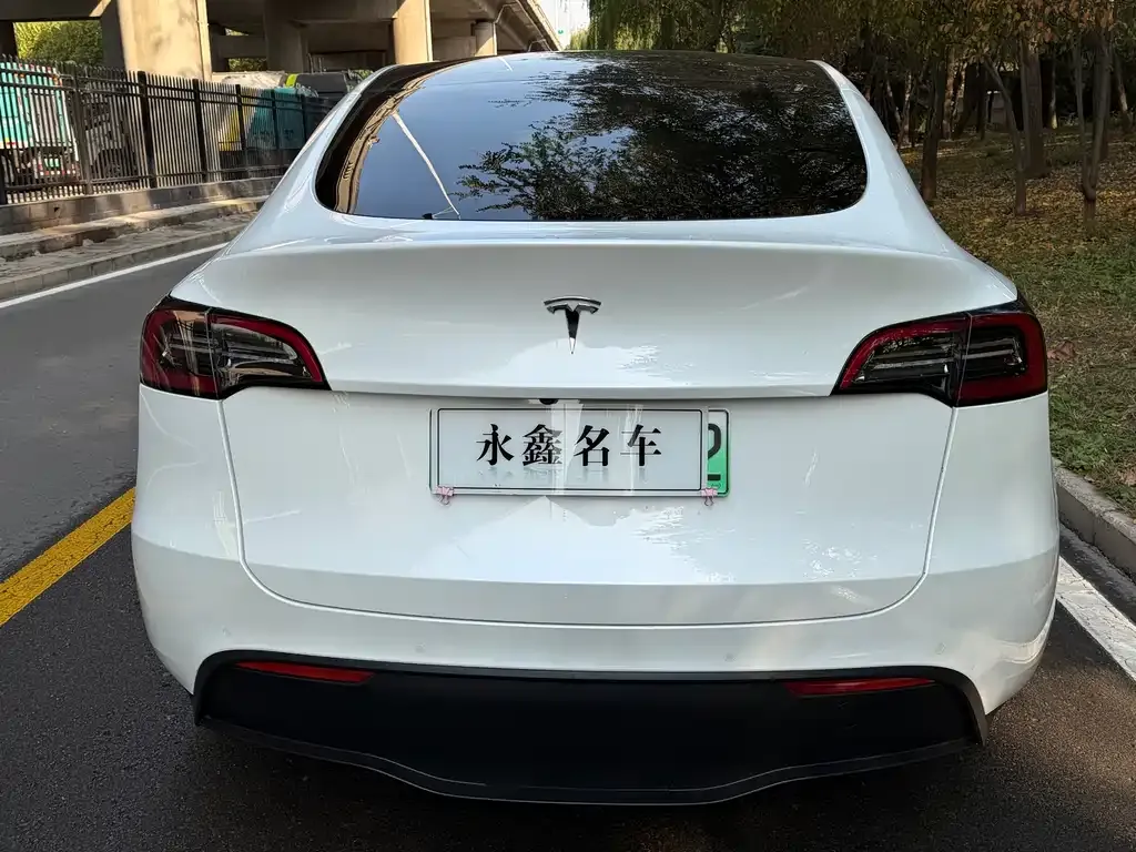 Tesla Model Y 2021 из CN, фото 9