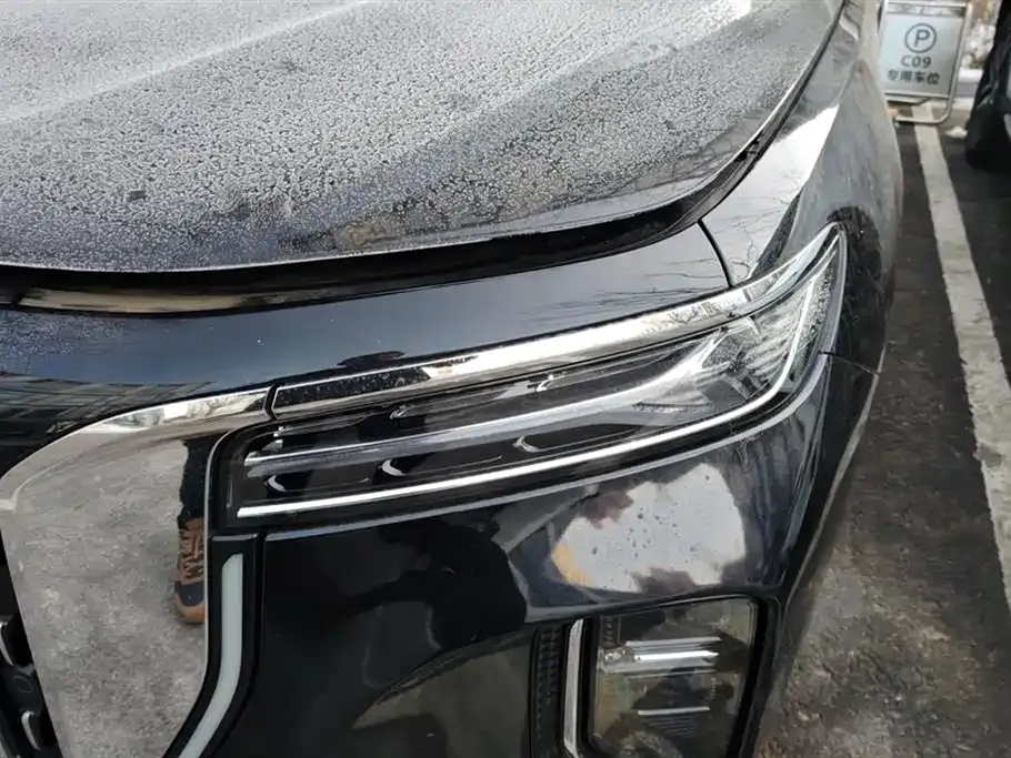 Hongqi H9 2024 из CN, фото 8