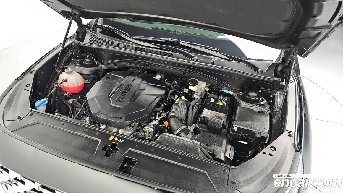 Hyundai Santafe 2021 из KR, фото 10