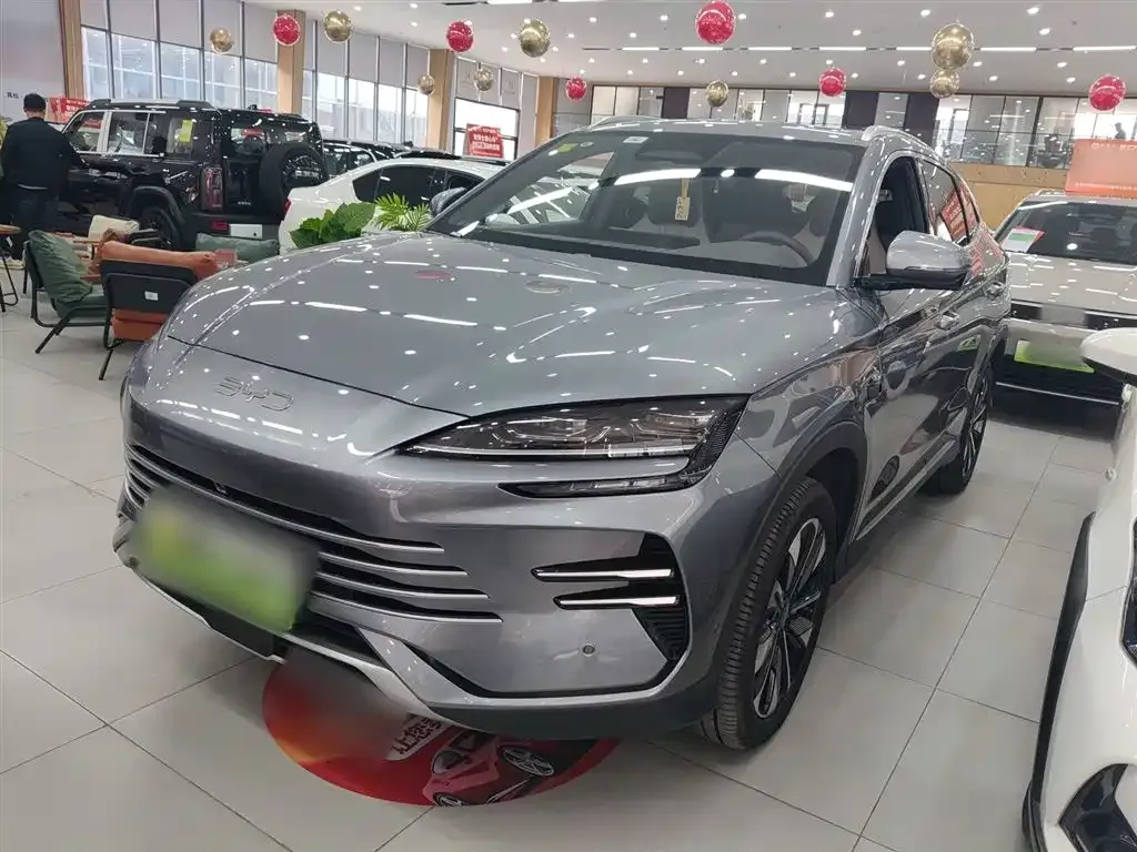 BYD PLUS New Energy — фото 1