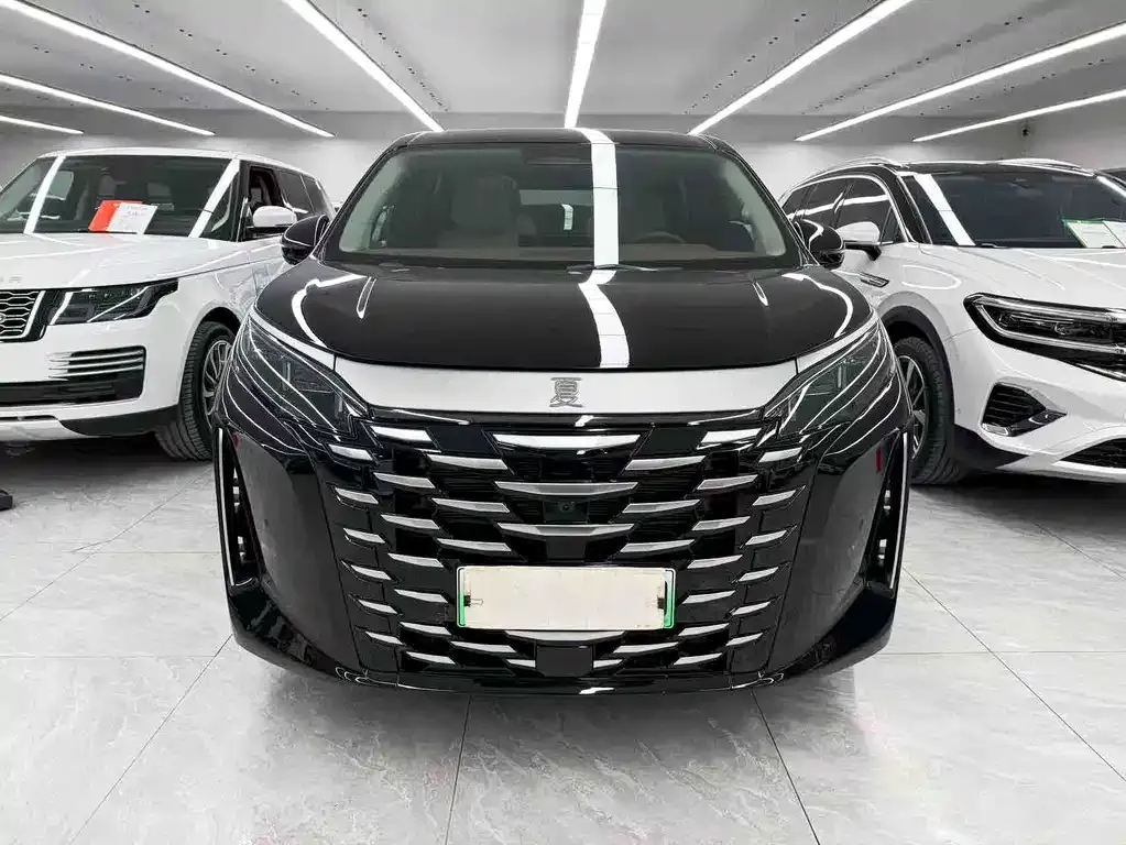 BYD Xia 2025 из CN, фото 6