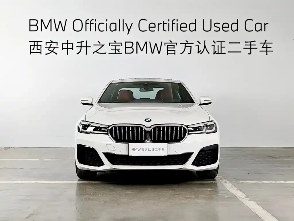 BMW 5 Series 2024 из CN, фото 7