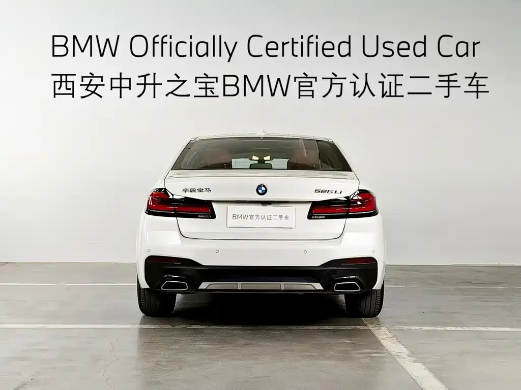 BMW 5 Series 2024 из CN, фото 3