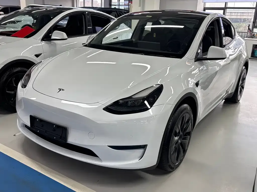Tesla Model Y 2023 из CN, фото 1