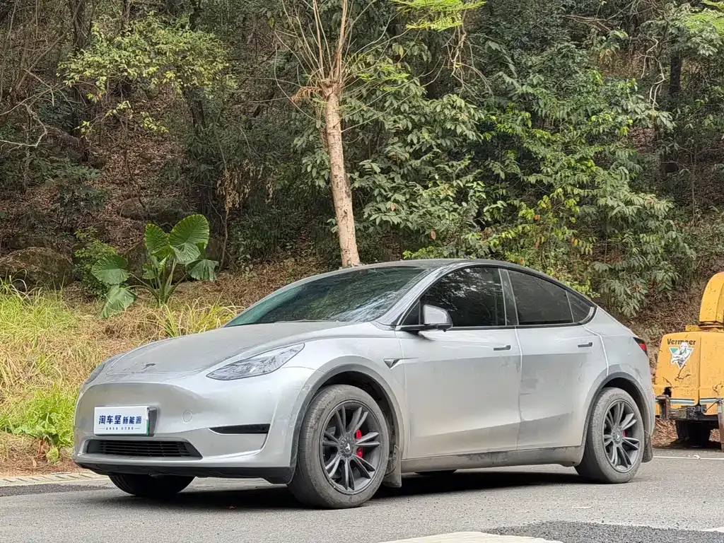 Tesla Model Y 2024 из CN, фото 1