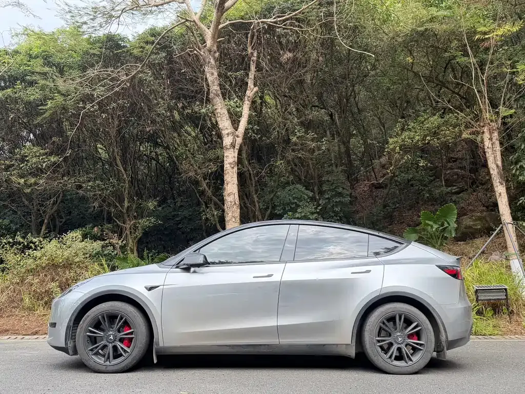 Tesla Model Y 2024 из CN, фото 8
