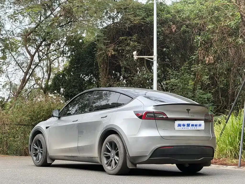 Tesla Model Y 2024 из CN, фото 6
