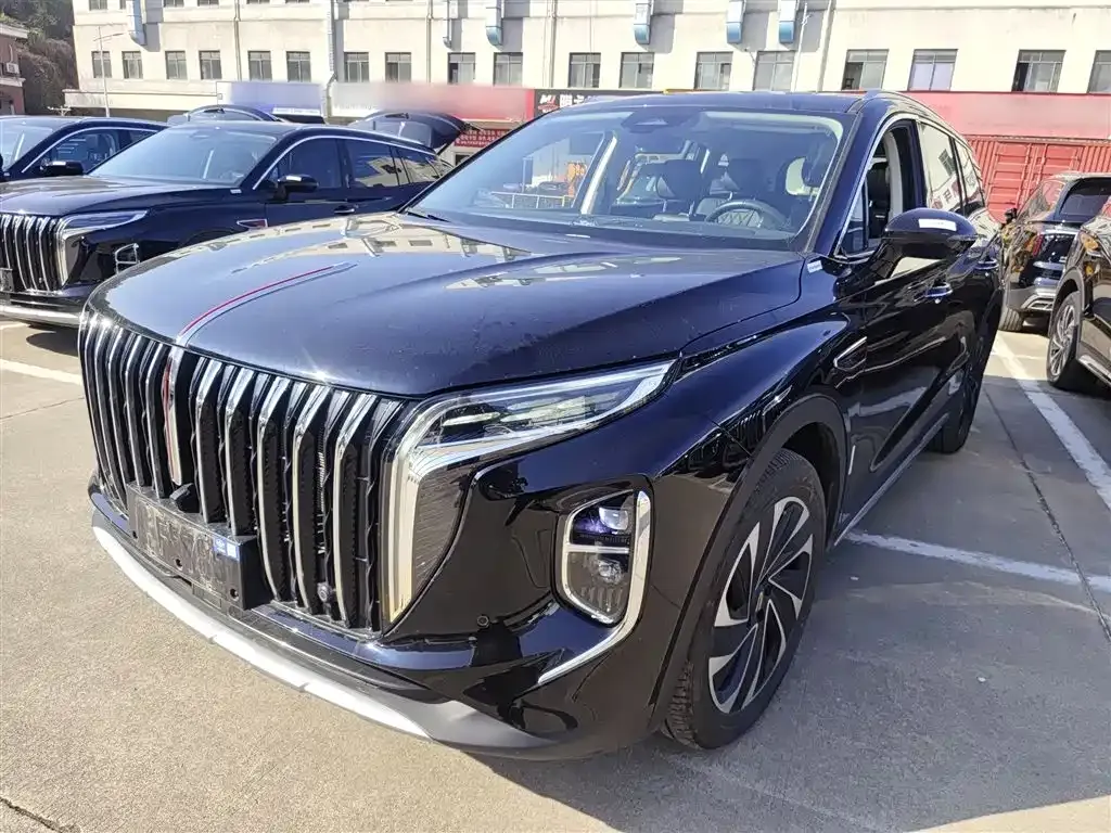 Hongqi HS7 PHEV 2024 из CN, фото 8
