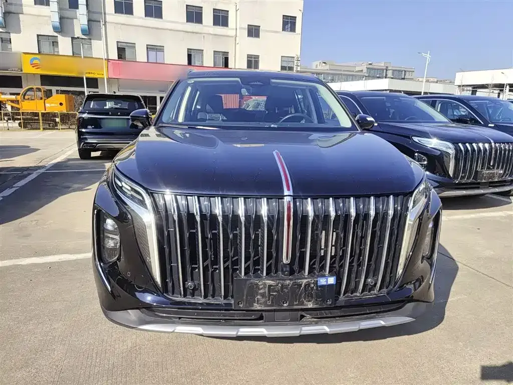 Hongqi HS7 PHEV 2024 из CN, фото 9