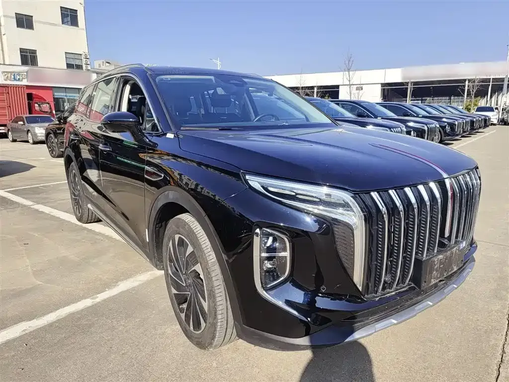 Hongqi HS7 PHEV 2024 из CN, фото 7