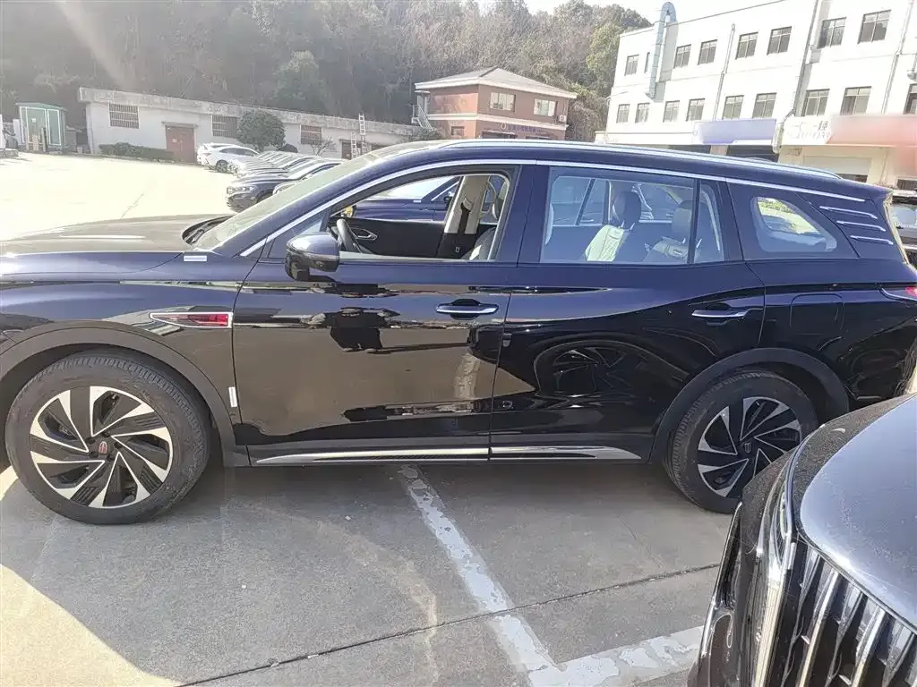 Hongqi HS7 PHEV 2024 из CN, фото 6