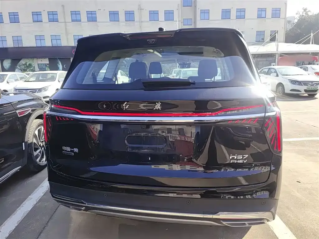 Hongqi HS7 PHEV 2024 из CN, фото 3