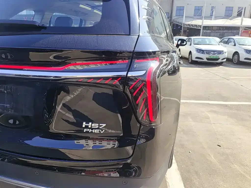 Hongqi HS7 PHEV 2024 из CN, фото 5