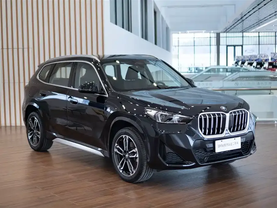 BMW X1 — фото 8