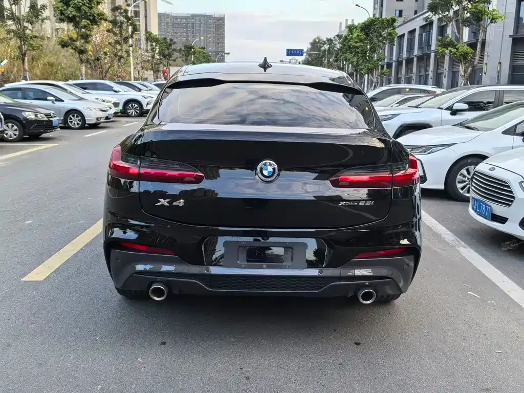 BMW X4 2021 из CN, фото 10