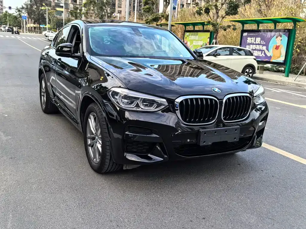 BMW X4 2021 из CN, фото 9