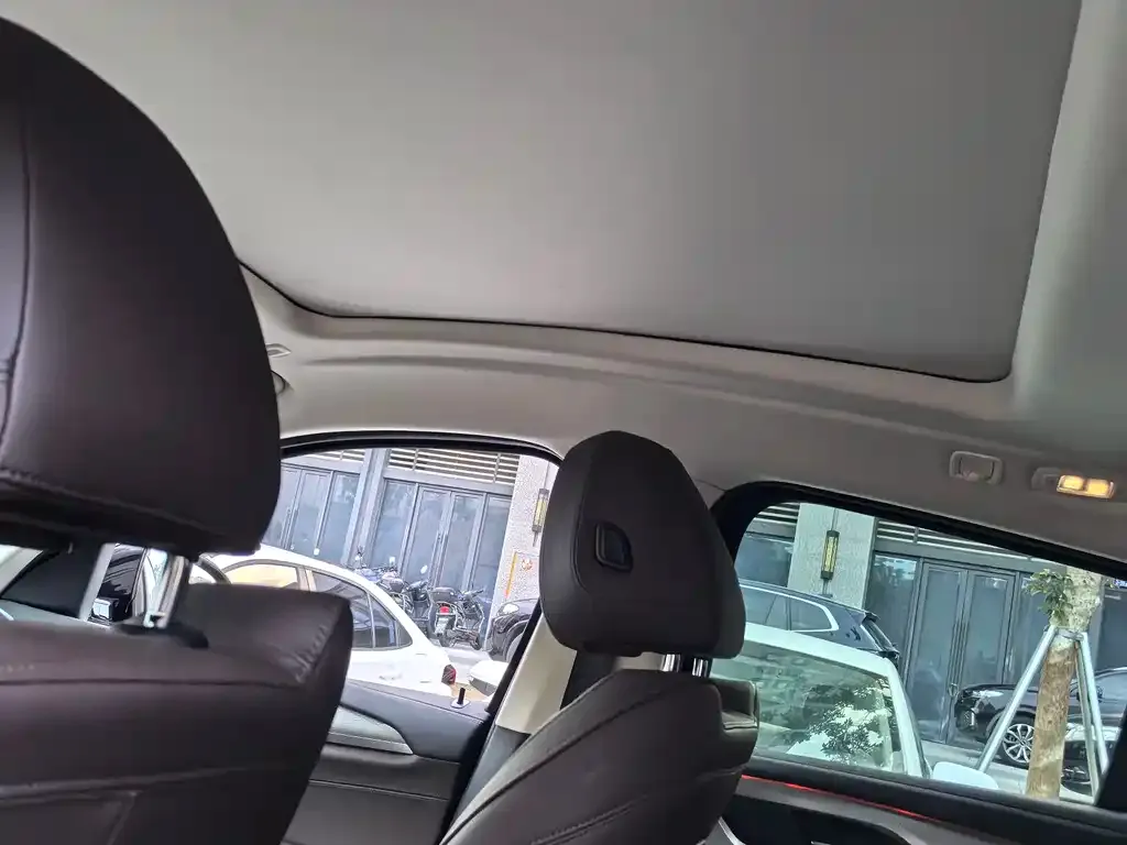 BMW X4 2021 из CN, фото 5
