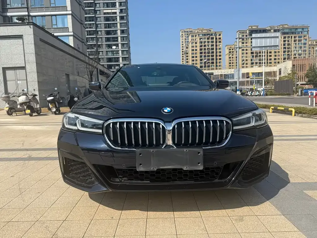 BMW 5 Series 2021 из CN, фото 5