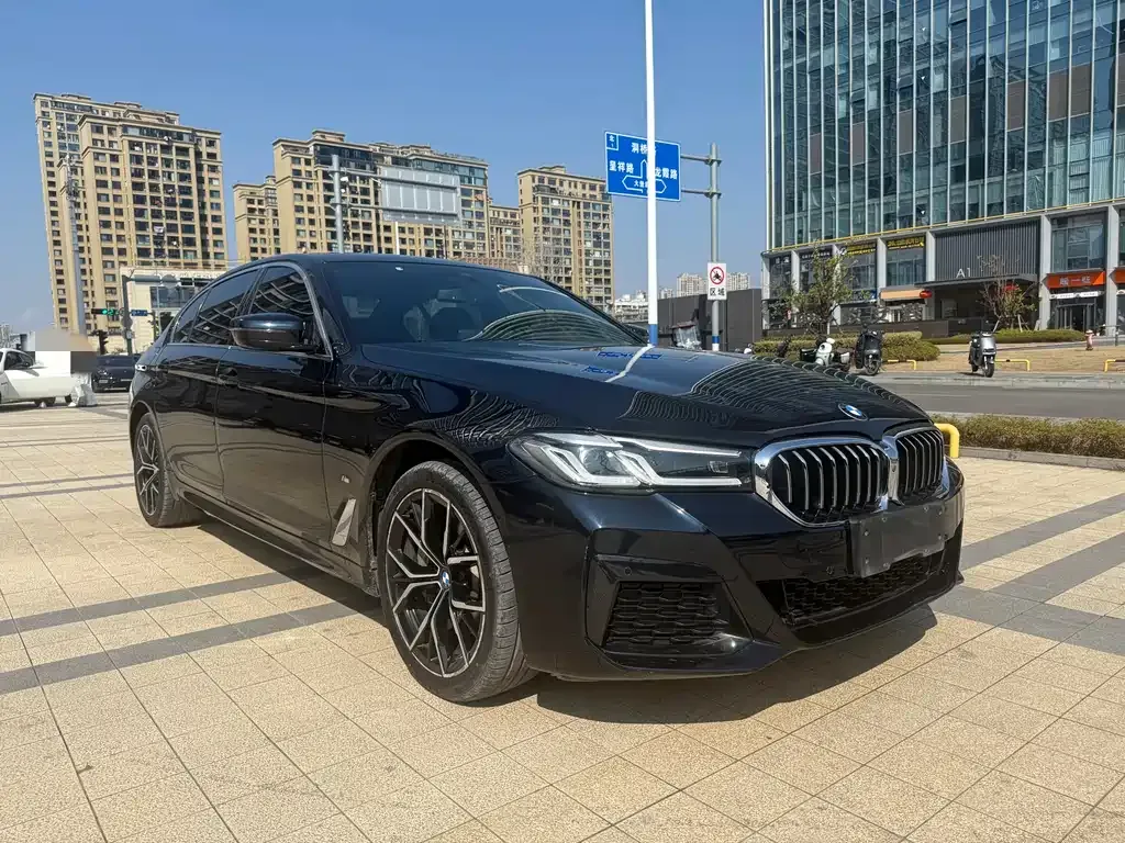 BMW 5 Series 2021 из CN, фото 10
