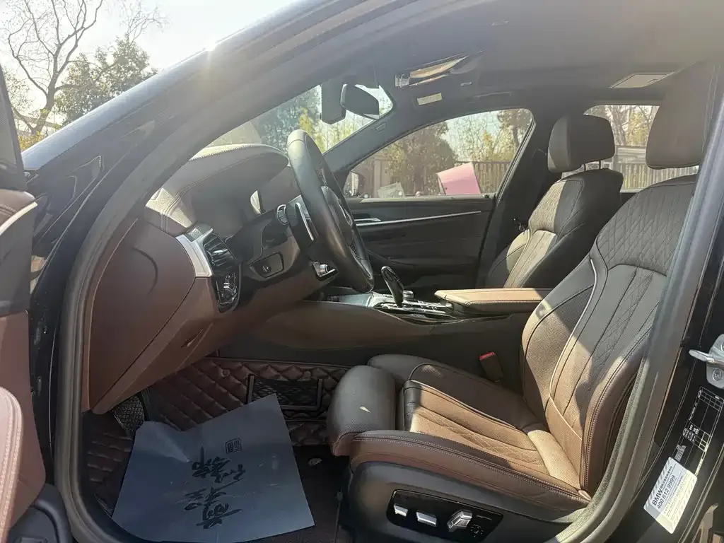BMW 5 Series 2021 из CN, фото 9