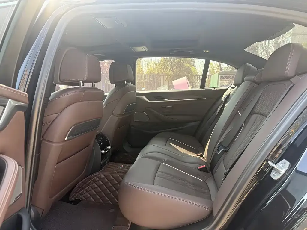 BMW 5 Series 2021 из CN, фото 4