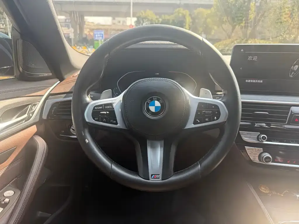 BMW 5 Series 2021 из CN, фото 8