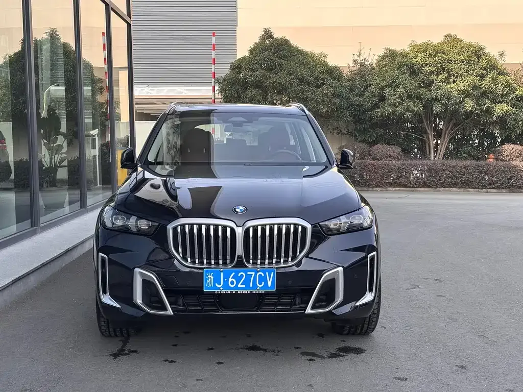 BMW X5 2025 из CN, фото 6