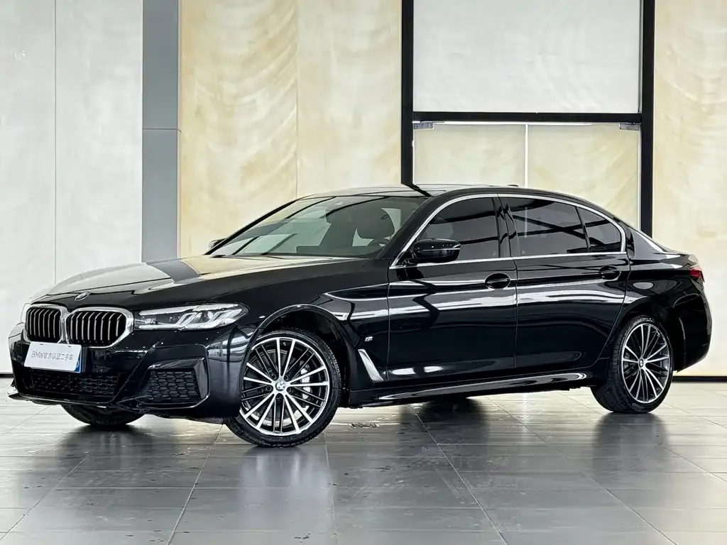 BMW 5 Series 2024 из CN, фото 1