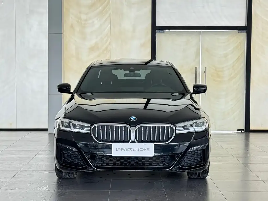 BMW 5 Series 2024 из CN, фото 5