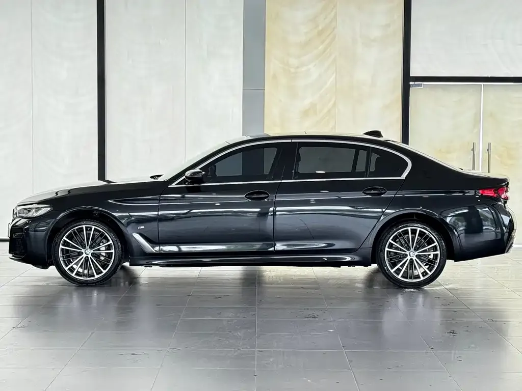 BMW 5 Series 2024 из CN, фото 2