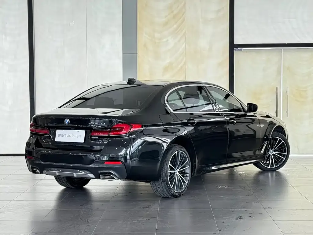 BMW 5 Series 2024 из CN, фото 3