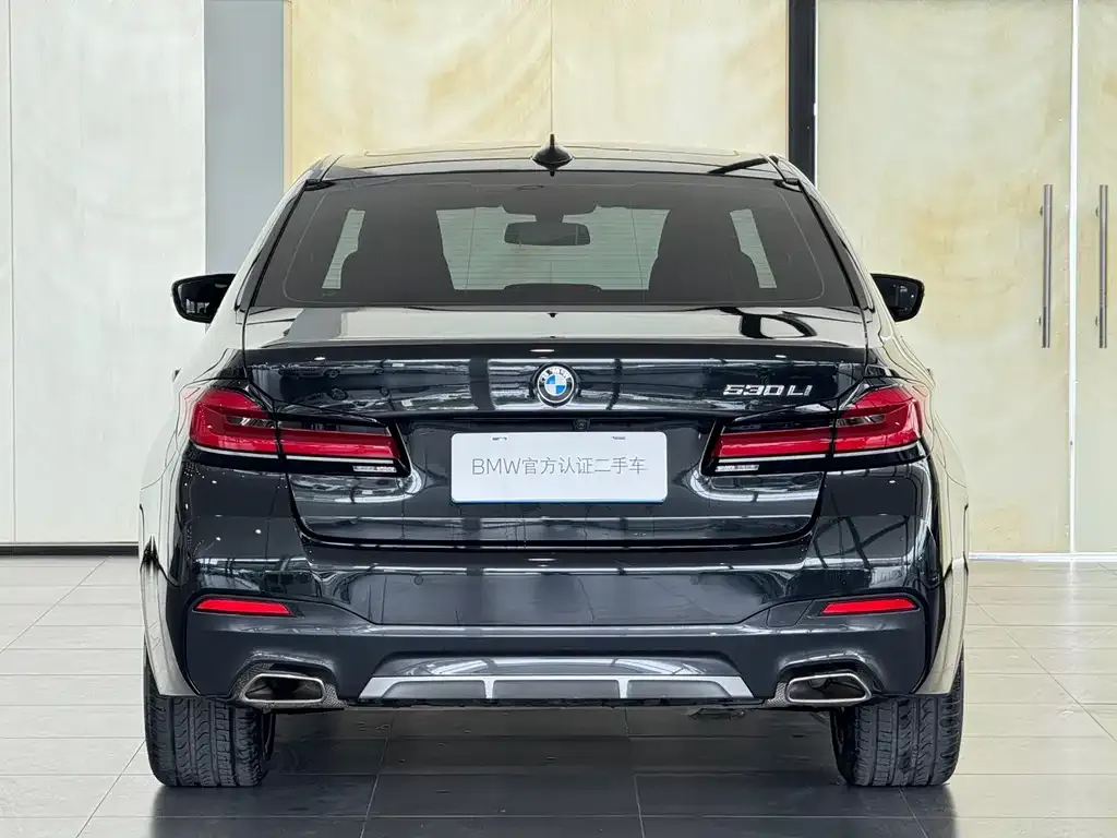 BMW 5 Series 2024 из CN, фото 7