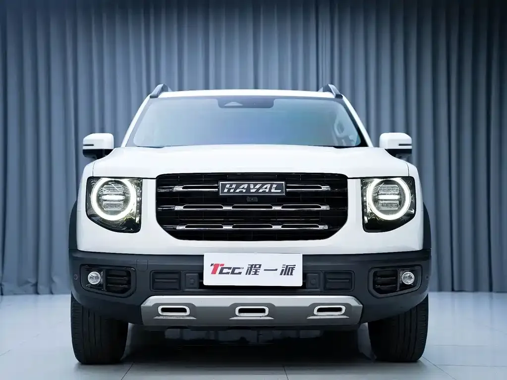Haval Big Dog 2022 из CN, фото 3