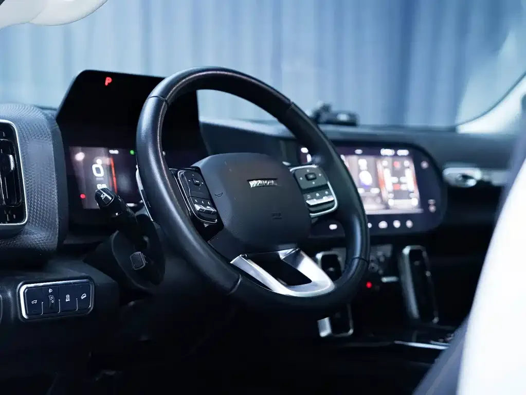 Haval Big Dog 2022 из CN, фото 6