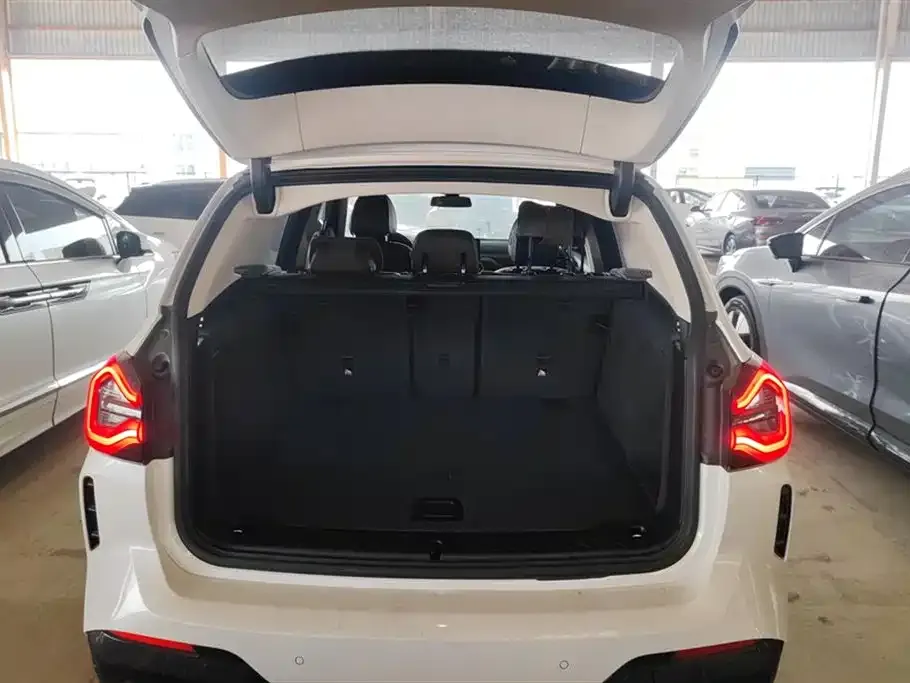 BMW X3 2022 из CN, фото 6