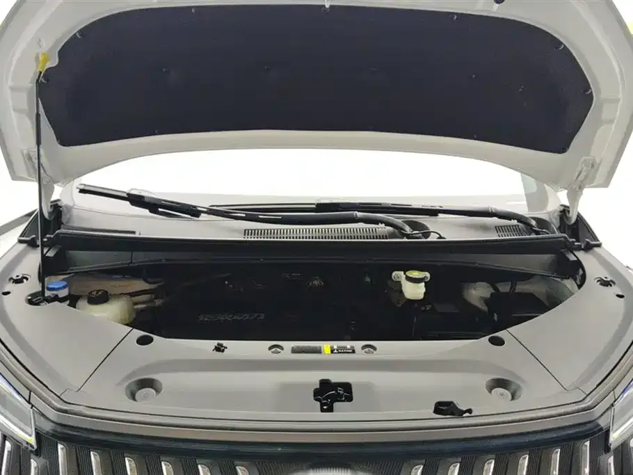 GAC Motor Trumpchi M8 2025 из CN, фото 9