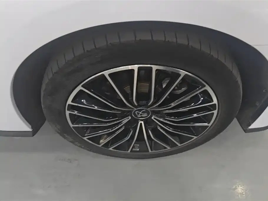 BYD Han 2022 из CN, фото 4
