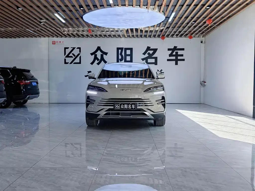 BYD PLUS New Energy 2025 из CN, фото 5