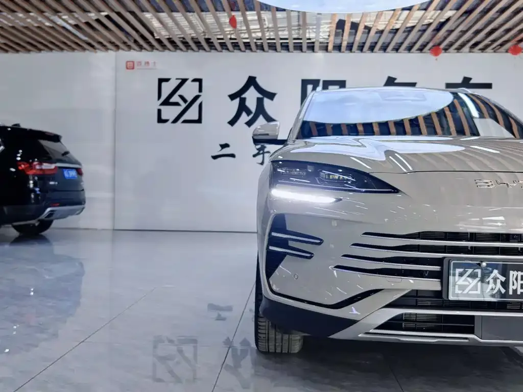 BYD PLUS New Energy 2025 из CN, фото 2