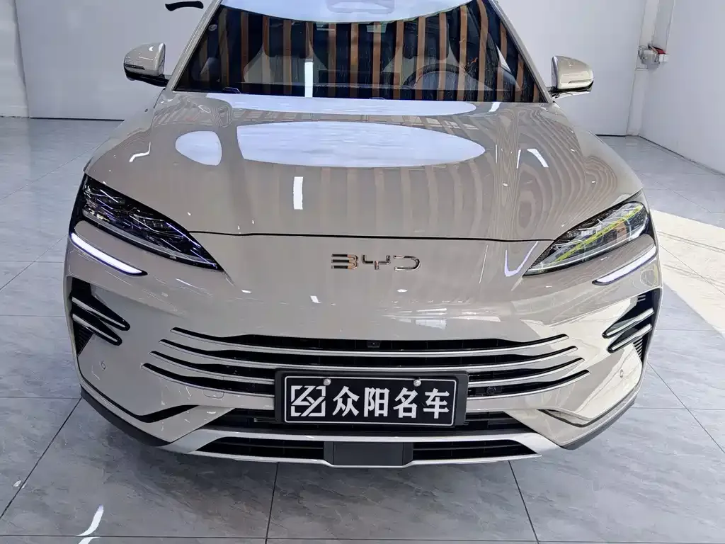 BYD PLUS New Energy 2025 из CN, фото 9