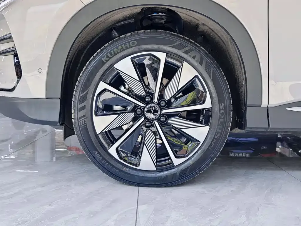 BYD PLUS New Energy 2025 из CN, фото 6