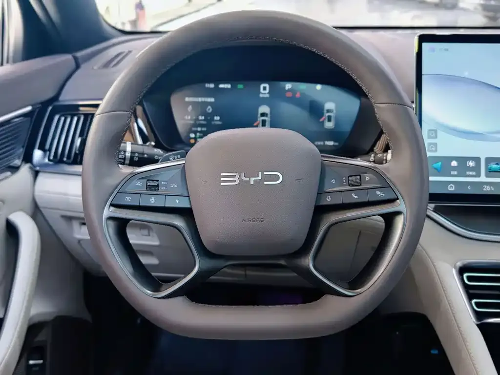 BYD PLUS New Energy 2025 из CN, фото 10