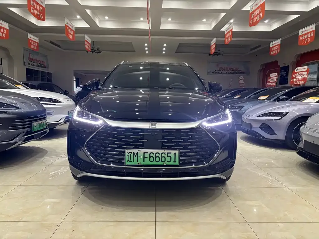 BYD Tang New Energy — фото 2
