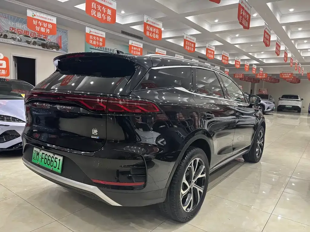 BYD Tang New Energy — фото 5