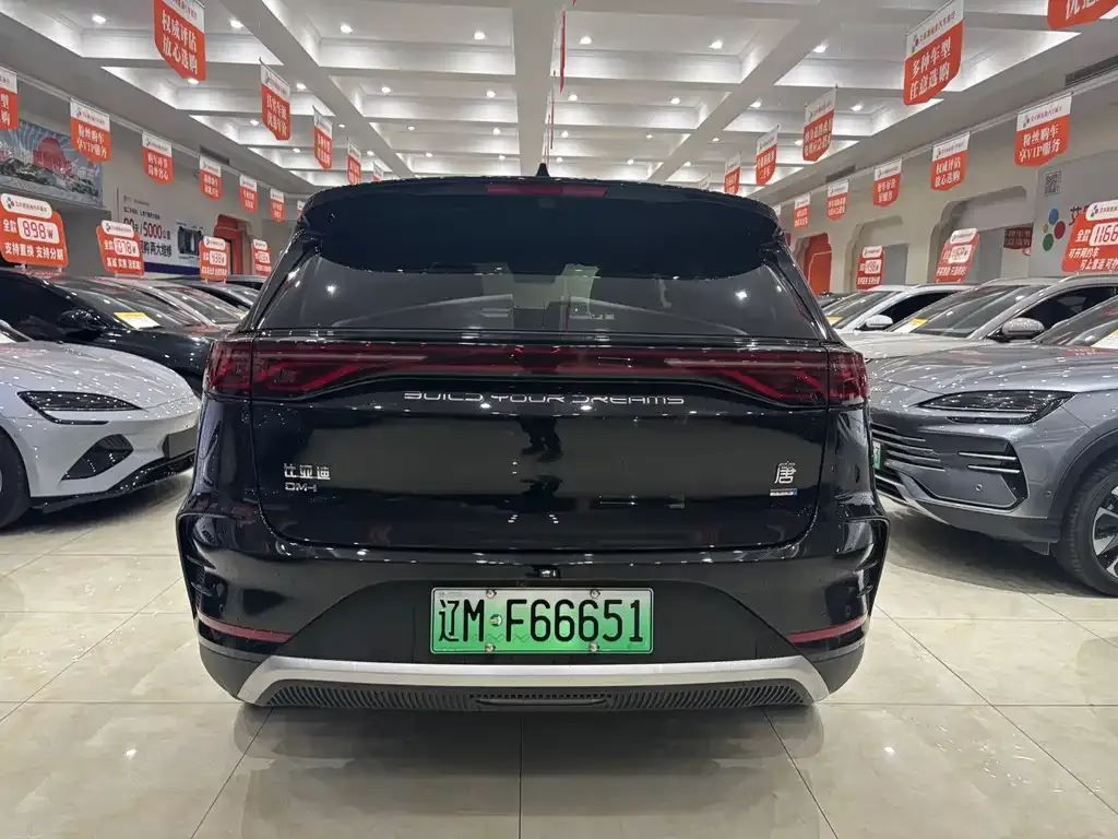 BYD Tang New Energy — фото 10