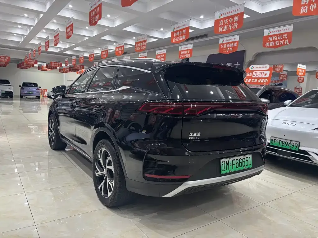 BYD Tang New Energy — фото 9