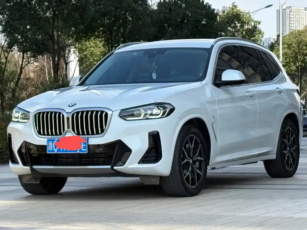 BMW X3 2024 из CN, фото 2