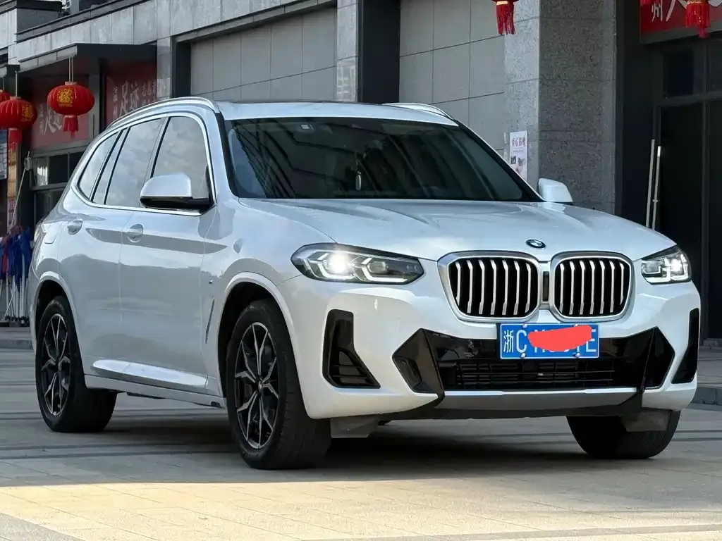 BMW X3 2024 из CN, фото 3
